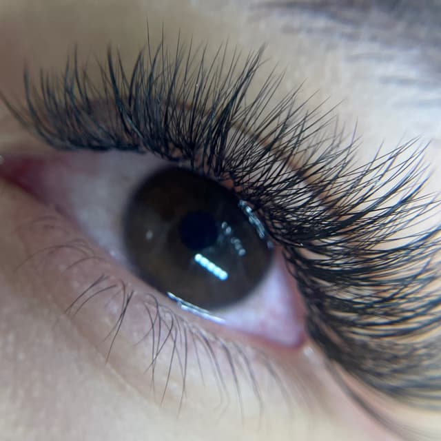 Classy at Carrington Beauty Studio in Charlotte, NC